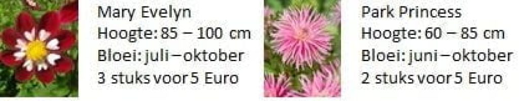 GetAttachmentThumbnail-1