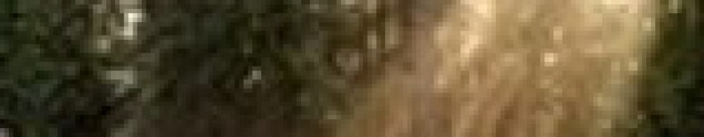 GetAttachmentThumbnail