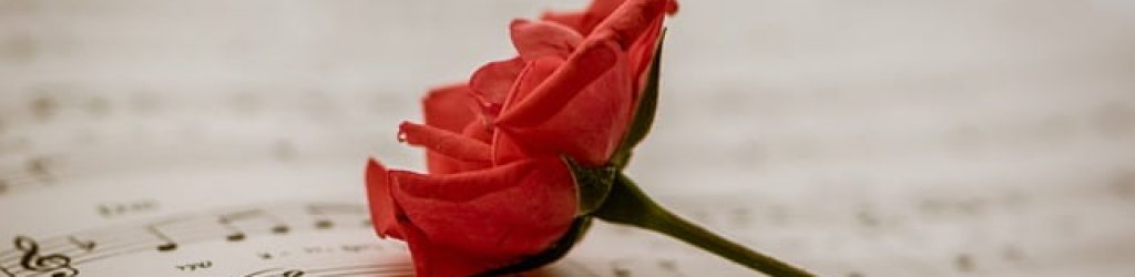 muziek-roos
