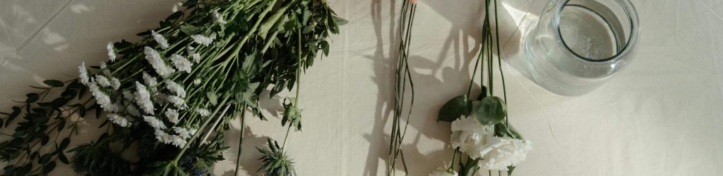 pexels-cottonbro-4268555